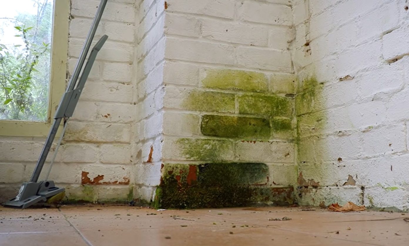 What is Rising Damp & How To Treat It? - ScreenPush